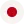Language Icon